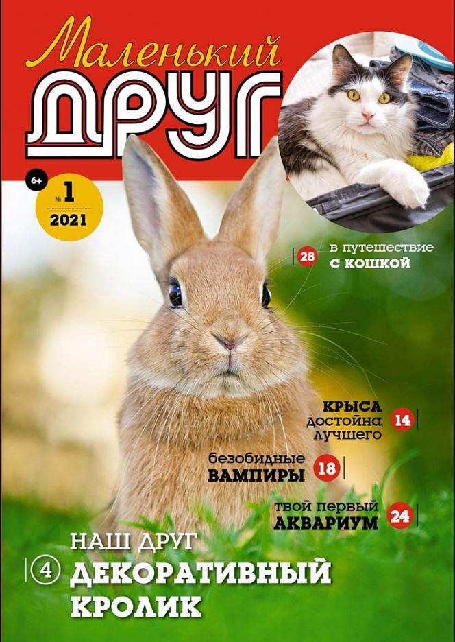 Фото издания
