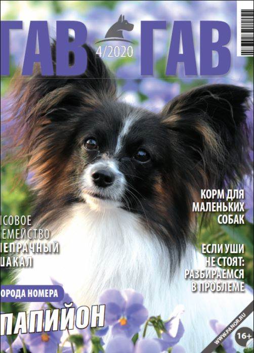 Фото издания