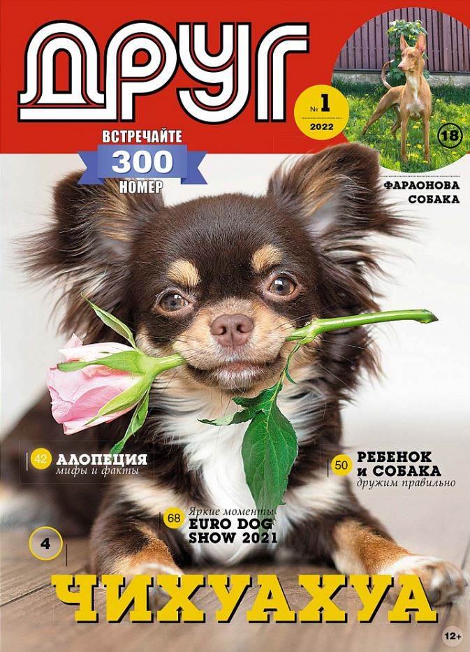 Фото издания
