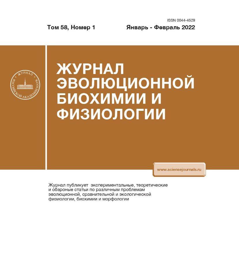 Фото издания